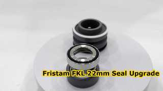 ببینید چرا SIC SIC FKM Mechanical Seal 22mm مناسب برای پمپ FKL Fristam را انتخاب کنید