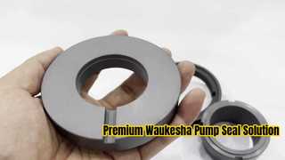 نگاهی دقیق تر: مهر و موم مکانیکی دو صورت AES W13U SiC/SiC، FKM برای پمپ Waukesha